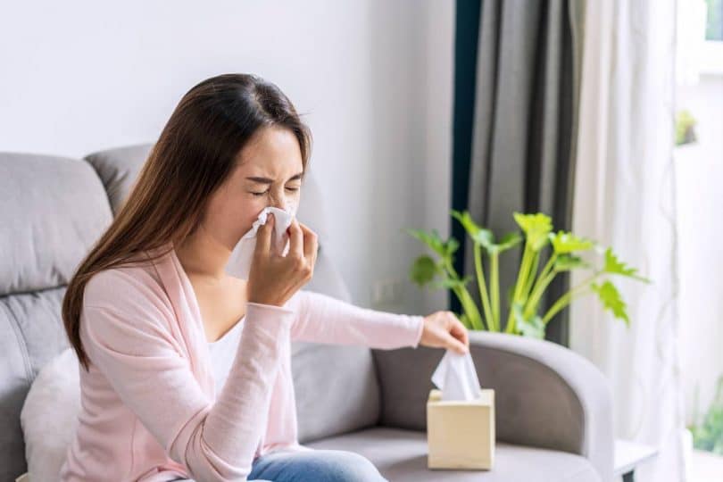 prévenir allergies à la maison